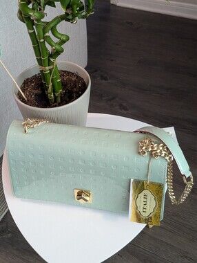 ARCADIA Mint Green Women’s Chain Shoulder Bag with Gold Hardware